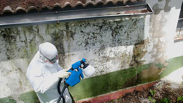 Trusted Mold Inspection service in Dublin, GA - Cheap Mold Removal